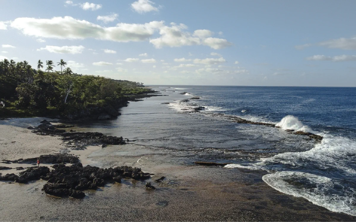 Aerial view of a palm-lined beach and rocky shoreline on ʻEua