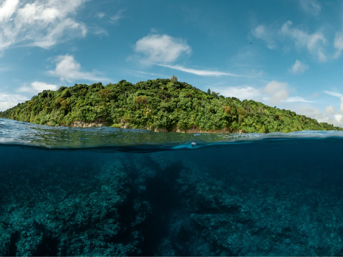 A split-level view of ʻEua's green coastline above the water and reef below